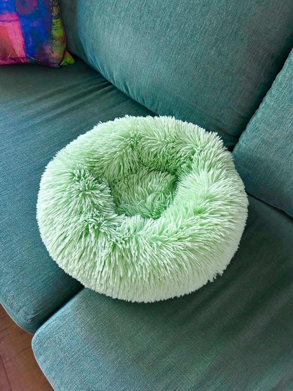 🦕Tiny Plush Pet Bed